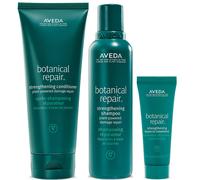 Exclusive Aveda Botanical Repair Strengthening Shampoo, Conditioner & Treatment Bundle