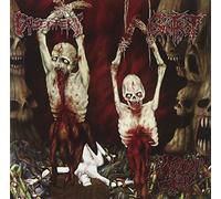 Excruciatingly Euphoric Tormen