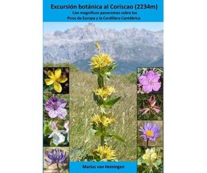Excursión botánica al Coriscao (2234m): Con magníficos panoramas sobre los Picos de Europa y la Cordillera Cantábrica (Flores silvestres del norte de España)
