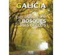 Excursiones por los bosques mas bellos: 3 (Galicia)