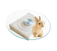 Exercise Wheel for Small Animals, Silent Running Wheel, Gerbil Cage Toy, Metal Bearings, Wood and Glass, Excellent and Sturdy, Cage Accessories, 11.42x2.36 Inches