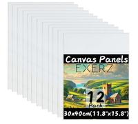 Exerz 30x40cm Paneles de Lienzos 12 piezas A3, 100% Algodón, 280 GSM, Triple Preparado, Libre de Ácido, Hebra Media - Ideal para Pintura Acrílica y Óleo