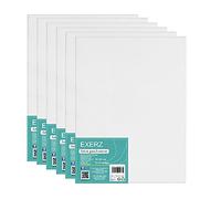 EXERZ 30x40cm Paneles de Lienzos 6 piezas - 0,3cm de Espesor / A3 Lienzos 280GSM / 100% Algodón - Color Blanco/Triple Preparado/Libre de Acido/Hebra Media / - acrílicos & óleo