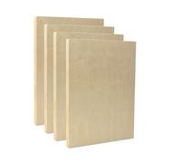 EXERZ - Juego de 4 paneles rectangulares de madera de 22,9 x 30,5 cm para pintura acrílica, al óleo y soportes mixtos | Tableros artesanales lisos para artistas, niños y proyectos de bricolaje