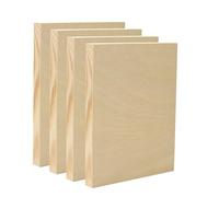 EXERZ Paneles de madera para pintura de 20,3 x 25,4 cm - Paquete de 4 paneles cuadrados de madera para pintura acrílica, óleo y técnicas mixtas - Grandes paneles lisos para manualidades, niños y