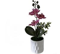 Exhibición artificial de orquídeas Phalaenopsis de bajo cuidado con tonos de color naturales y proporciones equilibradas para armonía visual (E)