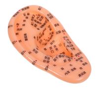 EXHUMKY Modelo De Acupuntura De Oreja Realista Modelo De Reflexología y Acupresión Para Práctica y Enseñanza Medicina Tradicional