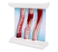 EXHUMKY Modelo Dinámico de Vaso Sanguíneo de Plástico para Enseñanza Médica, Modelo Vascular Anatómico Evolución de Lipoproteínas Ldl, Adecuado para Aulas y Consultorios Médicos