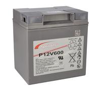 Exide Sprinter P12V600 12V 24Ah BATERÍA Plomo-AGM Con VdS
