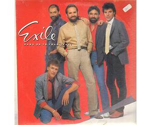 EXILE - EXILE hang on to your heart EPIC 40000 (LP vinyl record)