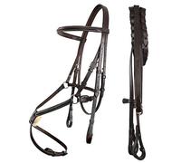 ExionPro Brida elevada tradicional de lujo asequible con 8 riendas con cordones | Brida para caballo | tachuelas inglesas