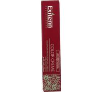 Exitenn Color Creme Color 10 N2 60 ml