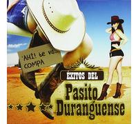 Exitos Del Pasito Duranguense
