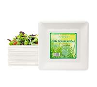 EXNIMA, Pack 30, 50, 60, 100, 300 o 500 Platos Desechables Biodegradables, Hechos de Fibra de Caña de Azúcar, Natural, 100% Biodegradable, Cuadrados Originales, Comida, Barbacoa, Fiesta, Cumpleaños.