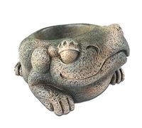 Exo Terra Cuenco de Agua Rana Azteca - 1 ud.