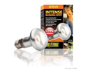 Exo Terra Bombilla Halógeno Intense Basking Spot, 25 W