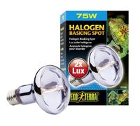 Exo Terra Bombilla halógena Sun Glo 75 W