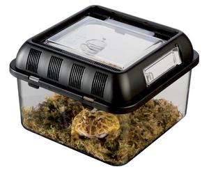 Exo Terra Caja de Cría Pequeña, 205 x 205 x 140 mm