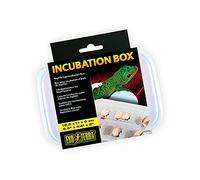 Exo Terra Caja de incubación