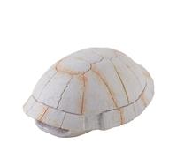 EXO TERRA Refugio Fósil Dino Tortuga