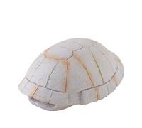 EXO TERRA Refugio Fósil Dino Tortuga