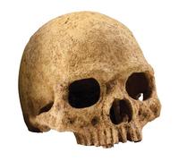 Cascada Pebble Exo Terra - Pequeno