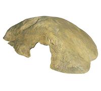 Exo Terra Cueva Mediana