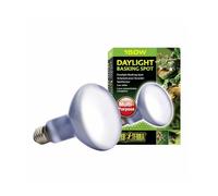 Exo Terra Daylight Basking Spot - R20/75 W