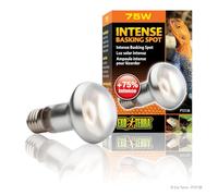 EXO TERRA Foco Directo intense basking spot, 75 W
