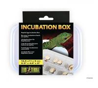Exo Terra Caja de incubación