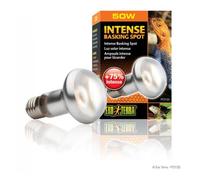 Exo Terra Lámpara Intense Basking Spot R20 50W