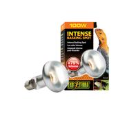Exo Terra Lámpara Intense Basking Spot R20 50W
