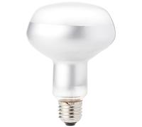 Exo Terra Intense Basking Spot - R30/150W