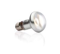 Exo Terra Intense Basking Spot - R20/50W