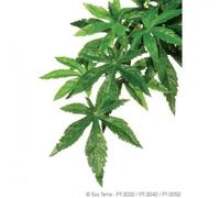 Exo Terra Planta Abutilon para terrarios