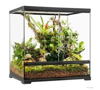 Pro Terrarium Medium Tall Exo Terra 60×45×60 cm - Terrario Mediano Alto para Reptiles