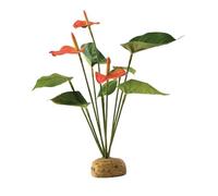 Exo Terra PT 2992 Anthurium Bush