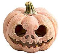 Exo Terra PT2897 Refugio Fluorescente Calabaza