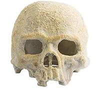 Exo Terra PT2899 Refugio Fluorescente Cráneo