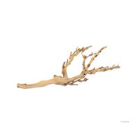 Exo Terra Rama del Bosque Mediana Decoración para terrarios