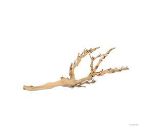 Exo Terra Rama del Bosque Mediana Decoración para terrarios