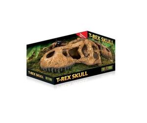Exo Terra t-rex calavera decorativa para terrarios