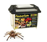 Exo Terra Faunarium - varias medidas Exoterra