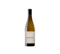 Exopto Field Blend Blanco 2024
