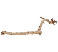 Natural Forest Branch Exo Terra - 60 cm
