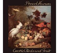 Exotic Birds & Fruit