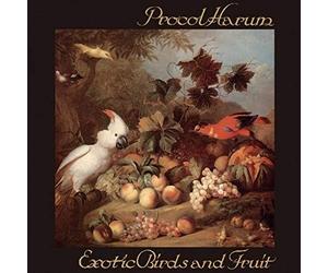 Exotic Birds & Fruit