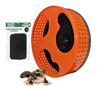 Exotic Nutrition Silencioso Runner de 30.5 cm | Rueda de Ejercicio Sugar Glider