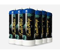 ExoticWhip Cilindro desechable de 1250 g N2O para Sifón Chantilly - Cilindro de 1250 g equivalente a 167 cápsulas de N2O - Cilindro de acero inoxidable de alta reciclable (6 pedazo),E942
