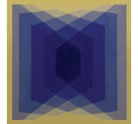 EXP (Experimental Burnout Music) [Vinilo]